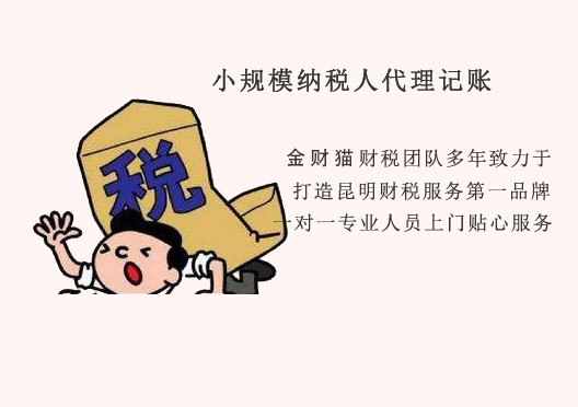 小规模代理记账